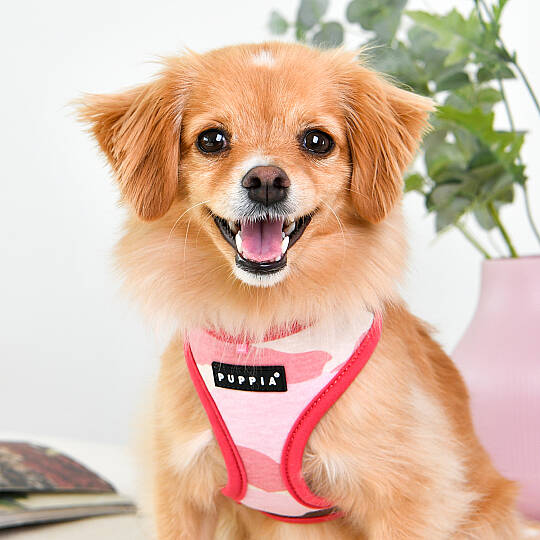 LANCE HARNESS B/PINK CAMO - 6