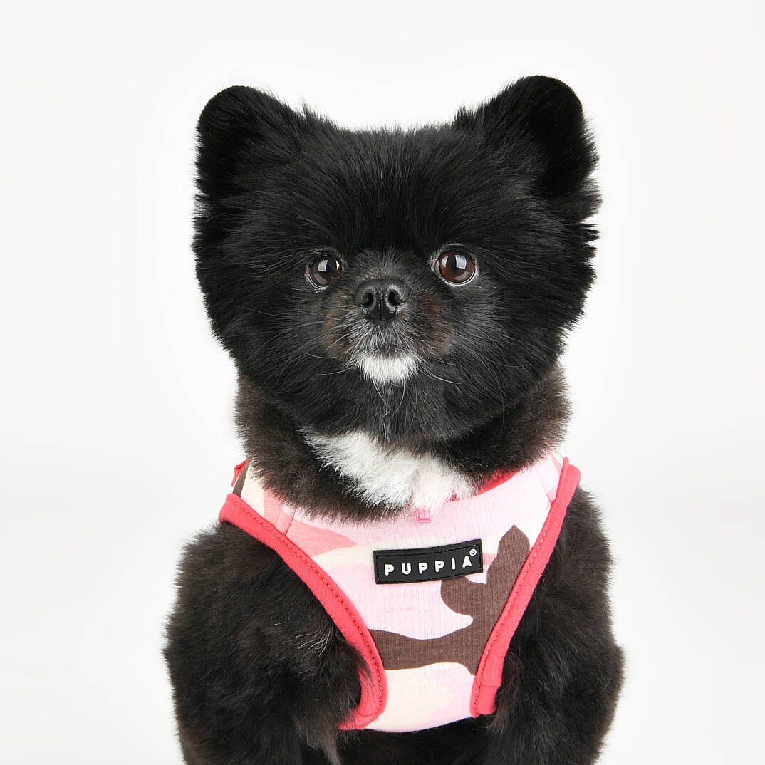 LANCE HARNESS B/PINK CAMO - 7
