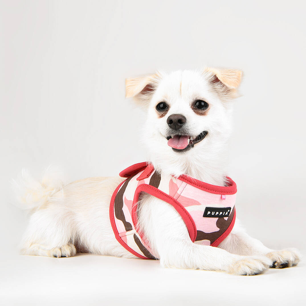 LANCE HARNESS B/PINK CAMO - 8