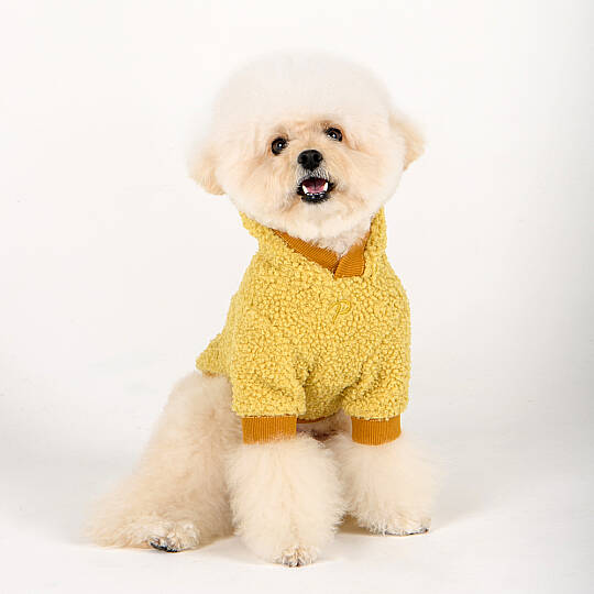 LASTA / YELLOW - 6