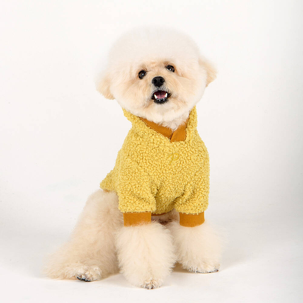LASTA / YELLOW - 6