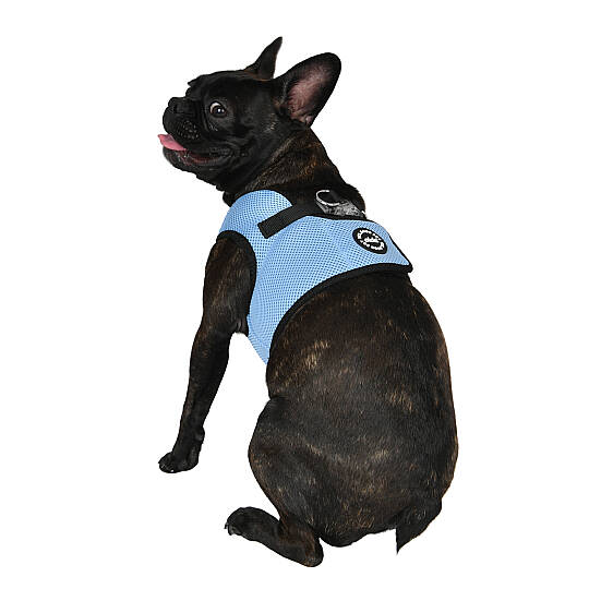 LED COMBI HARNESS / SKY BLUE - 7