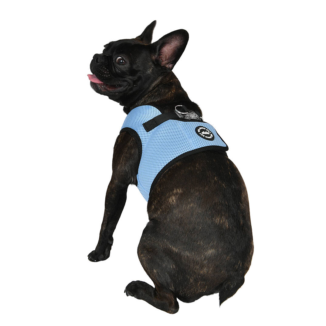 LED COMBI HARNESS / SKY BLUE - 7