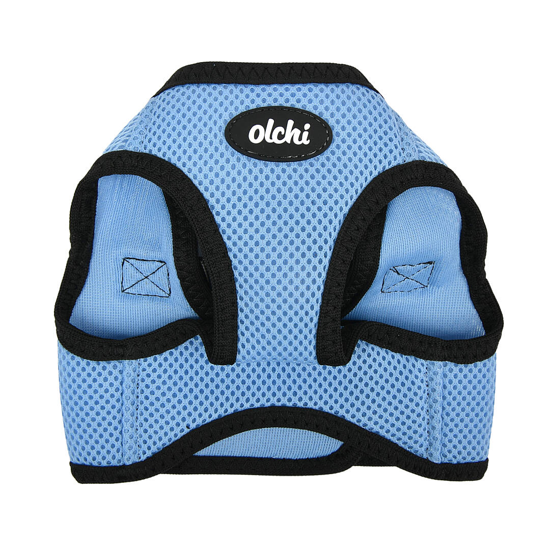 LED COMBI HARNESS / SKY BLUE - 2