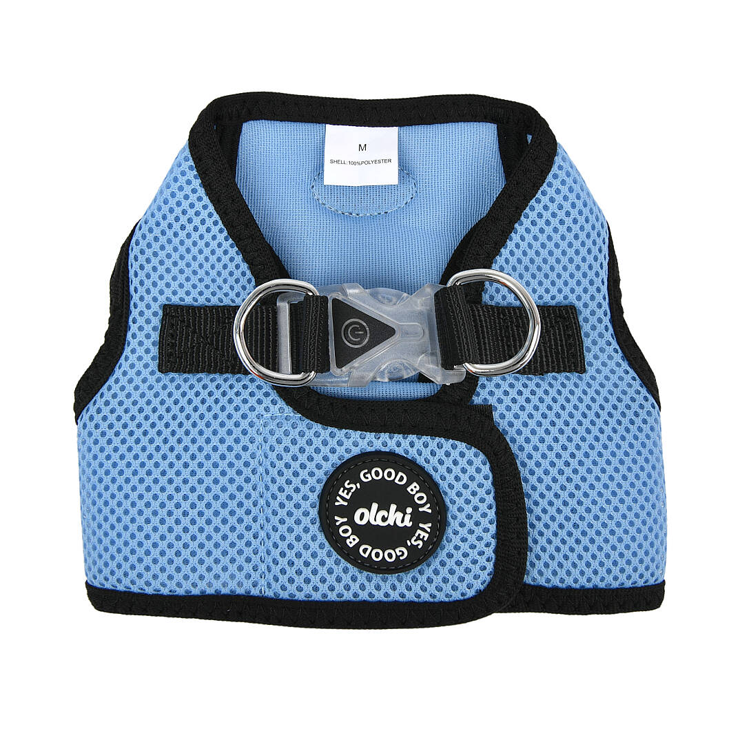 LED COMBI HARNESS / SKY BLUE - 1