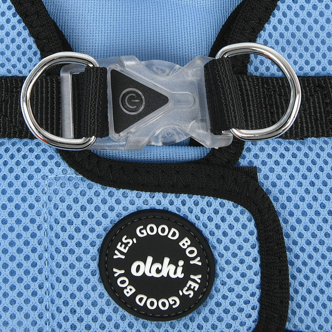 LED COMBI HARNESS / SKY BLUE - 4