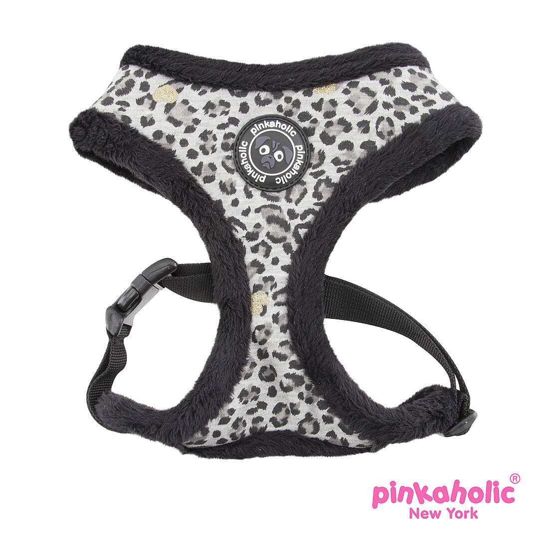 LEO PUG HARNESS/BLACK - 1
