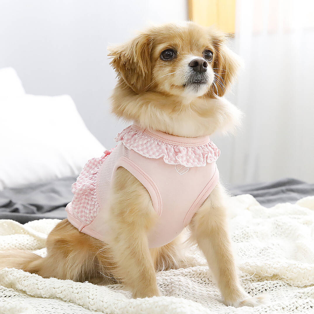Lorene Köpek Kıyafeti - 7