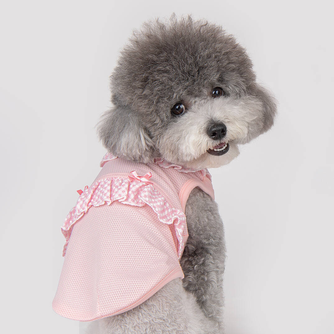 Lorene Köpek Kıyafeti - 8