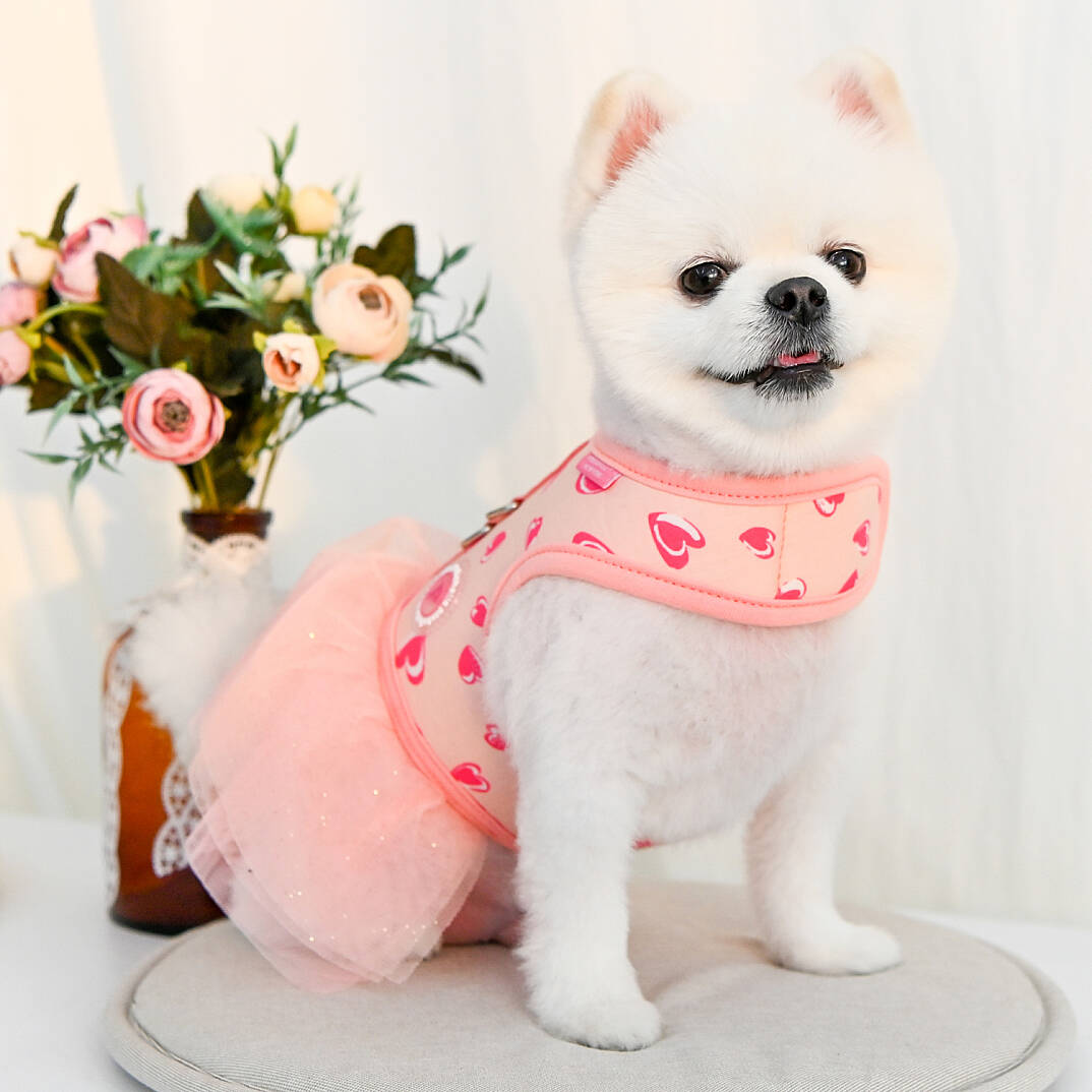 LOVEDAY FLIRT HARNESS / INDIAN PINK - 6