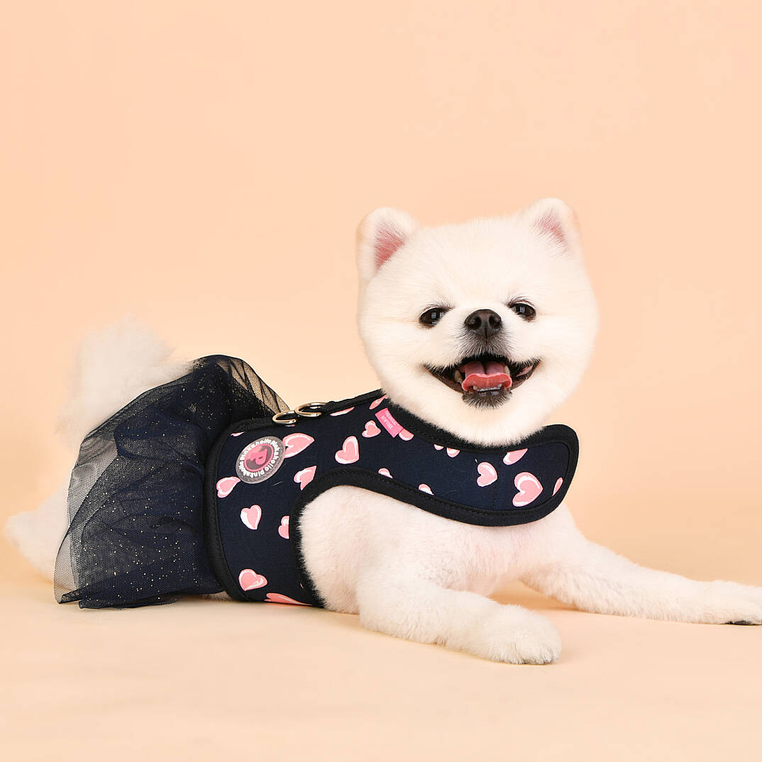  LOVEDAY FLIRT HARNESS / NAVY - 6