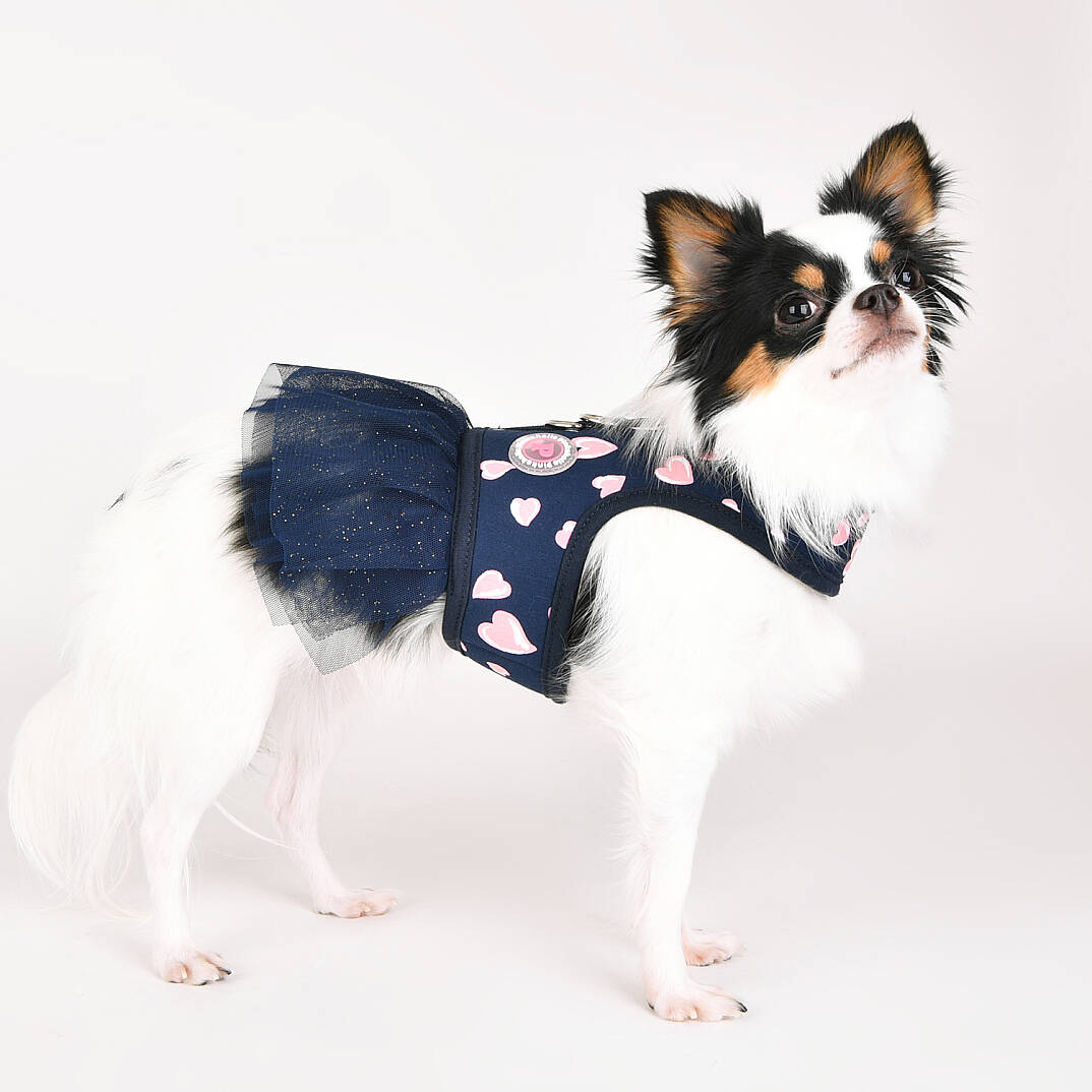  LOVEDAY FLIRT HARNESS / NAVY - 7