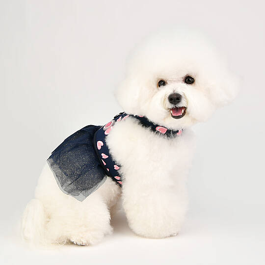  LOVEDAY FLIRT HARNESS / NAVY - 8