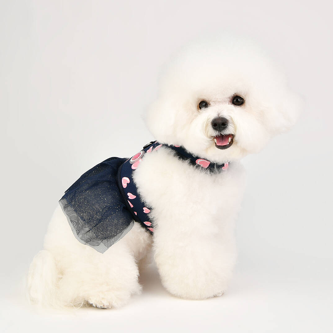  LOVEDAY FLIRT HARNESS / NAVY - 8