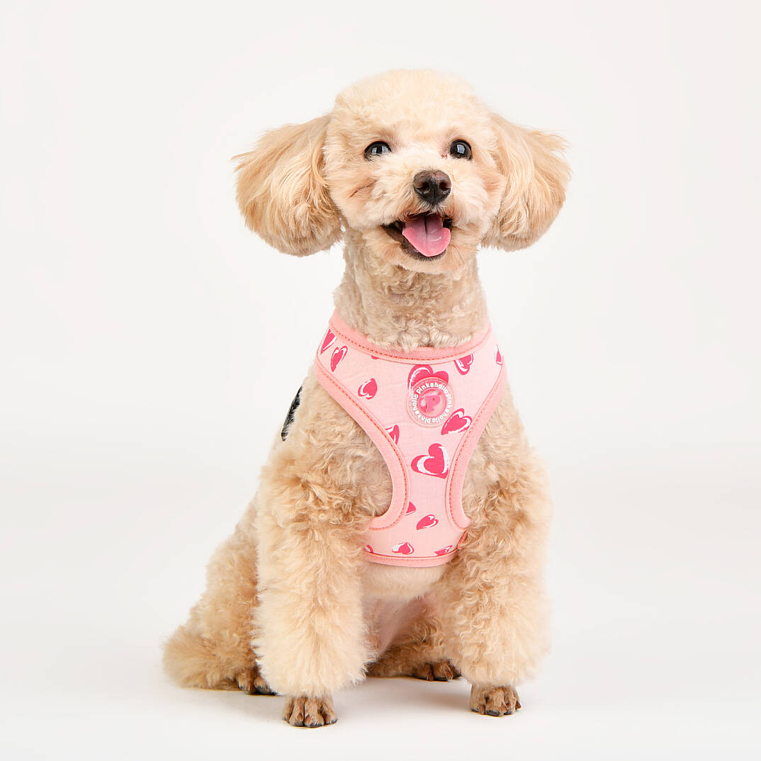 LOVEDAY HARNESS / INDIAN PINK - 7
