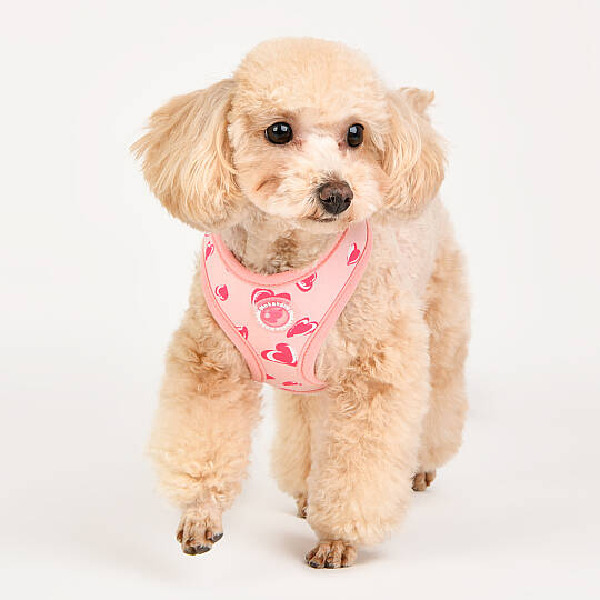 LOVEDAY HARNESS / INDIAN PINK - 8