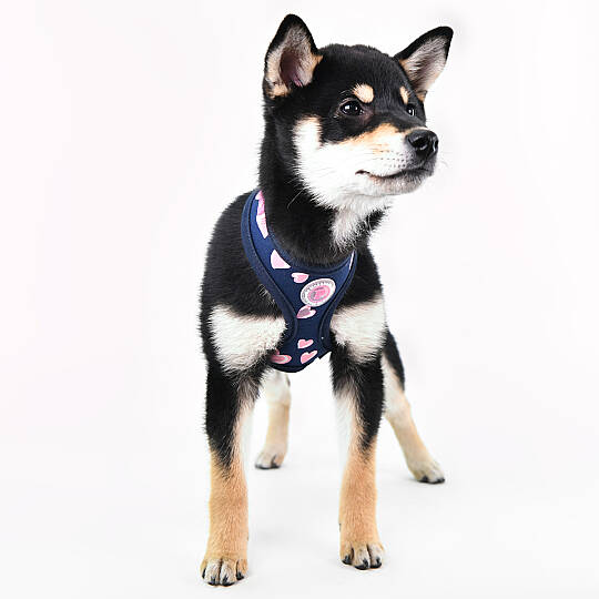 LOVEDAY HARNESS / NAVY - 6