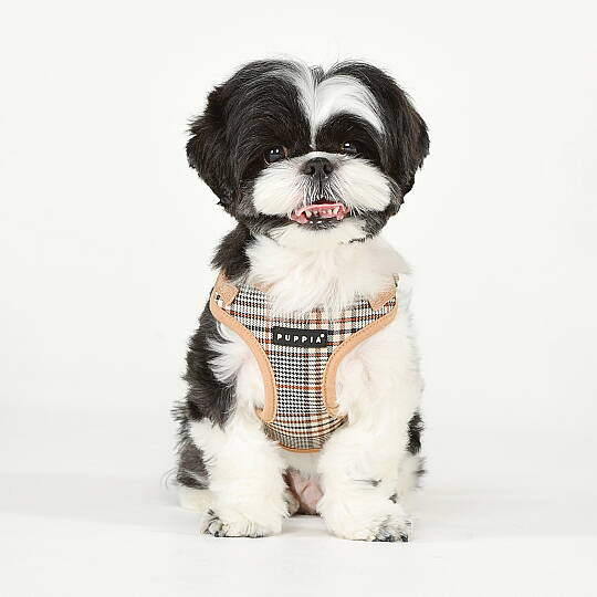 LUCAS HARNESS C / BEIGE - 5