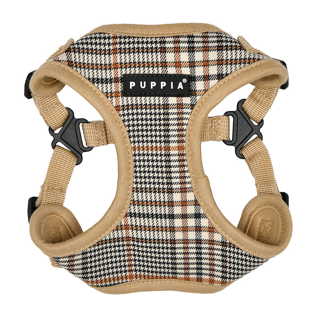 LUCAS HARNESS C / BEIGE - 1