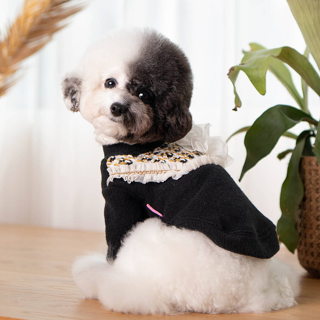 LUCIA/BLACK - 6