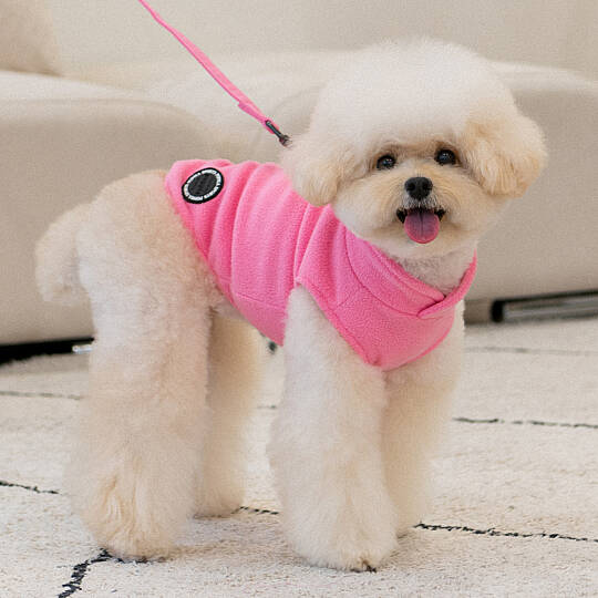 LUCIUS / PINK - 4
