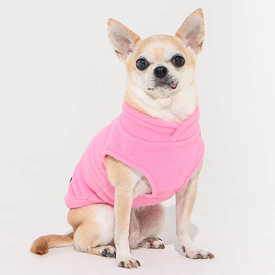 LUCIUS / PINK - 6