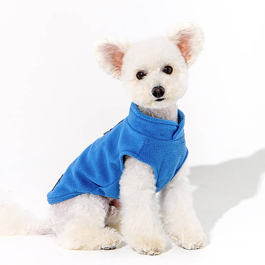 LUCIUS / ROYAL BLUE - 6