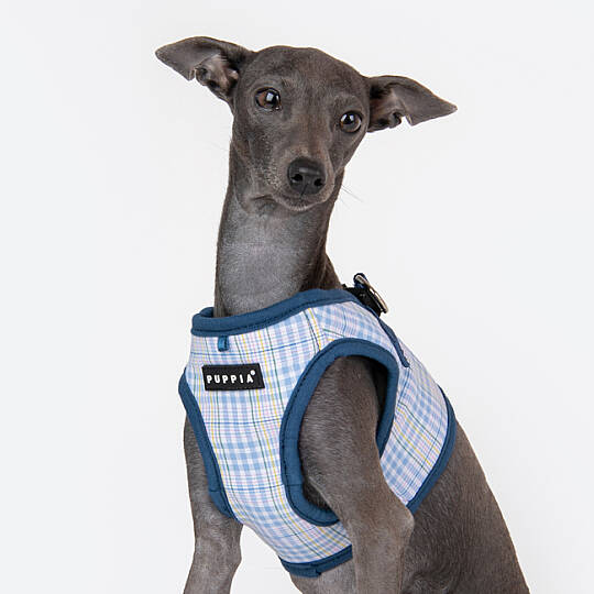 LUKE HARNESS B PAWA-HB1965-BL - 8