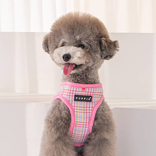 LUKE HARNESS B PAWA-HB1965-PK - 7