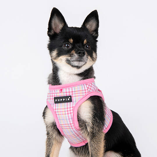 LUKE HARNESS B PAWA-HB1965-PK - 8
