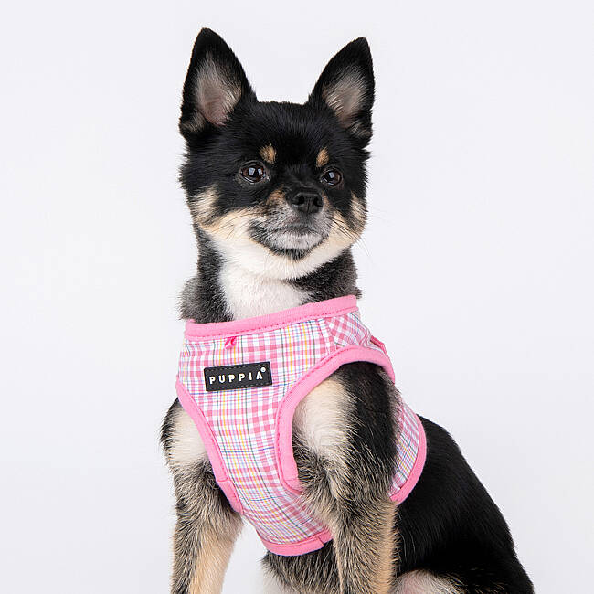 LUKE HARNESS B PAWA-HB1965-PK - 8
