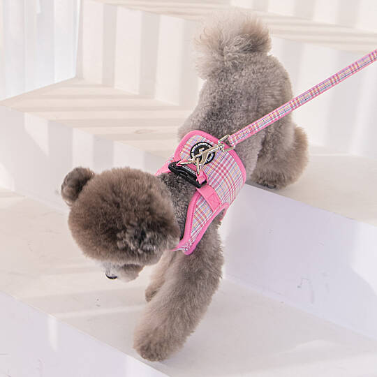 LUKE HARNESS B PAWA-HB1965-PK - 9