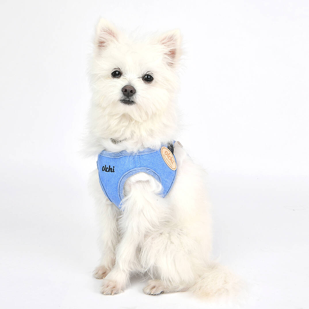 MAGİC HARNESS/BLUE - 4