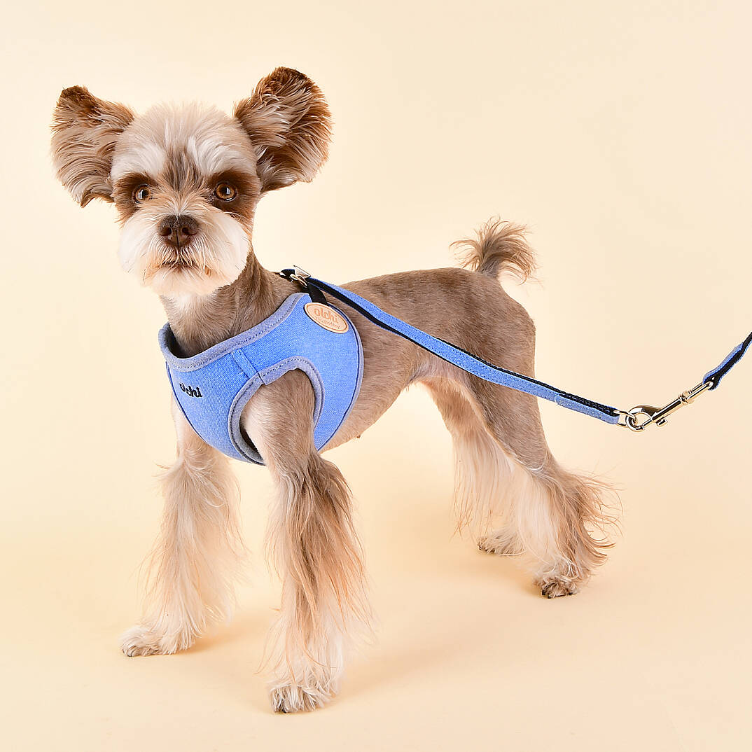 MAGİC HARNESS/BLUE - 5