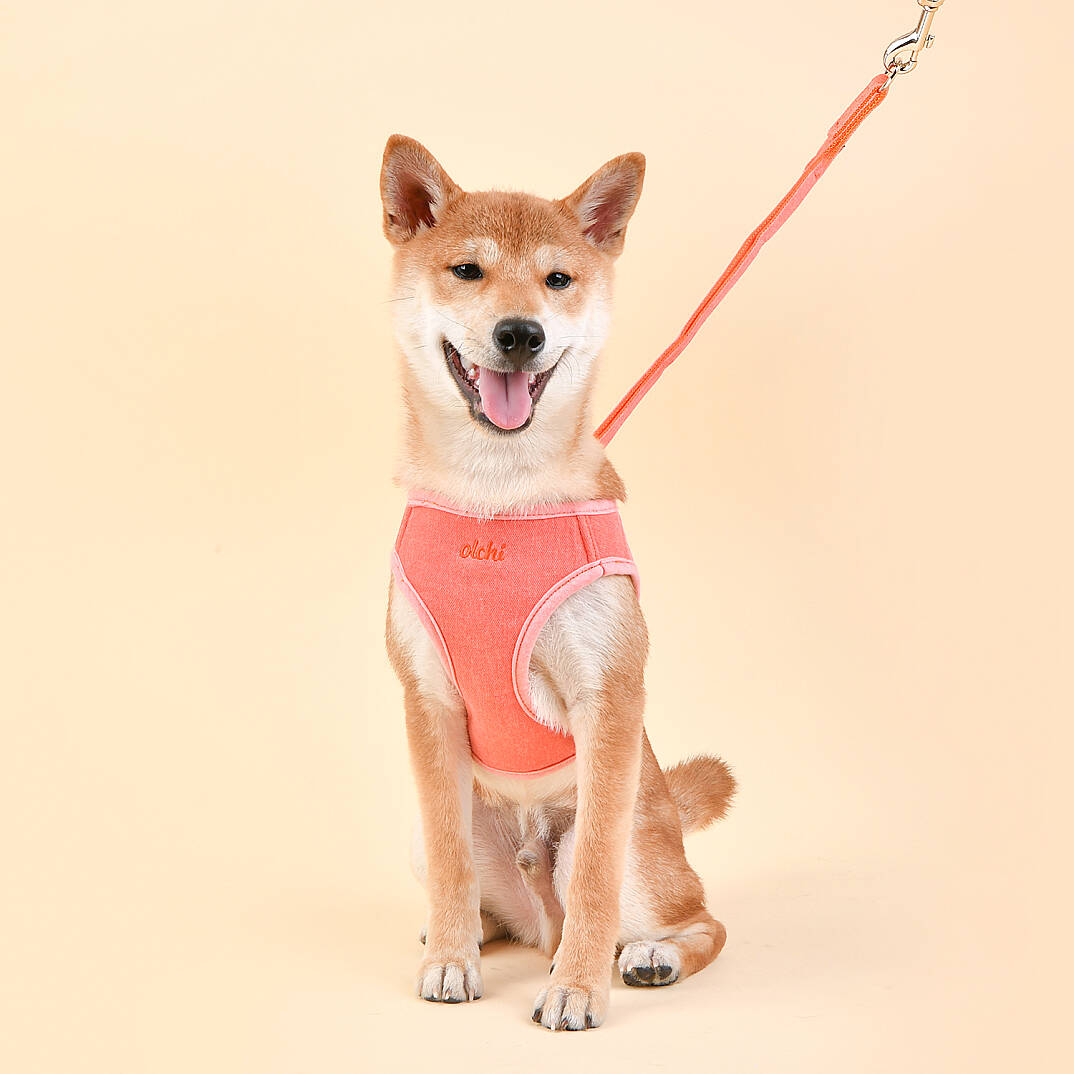 MAGİC HARNESS/PEACH - 4