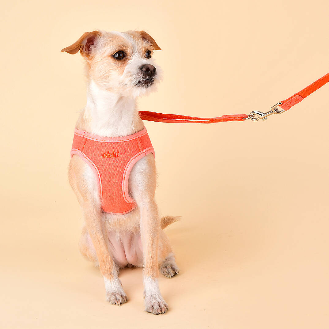 MAGİC HARNESS/PEACH - 5