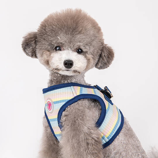 MAIRE HARNESS B / BLUE - 7