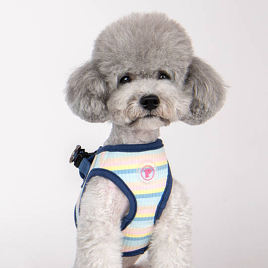 MAIRE HARNESS B / BLUE - 8