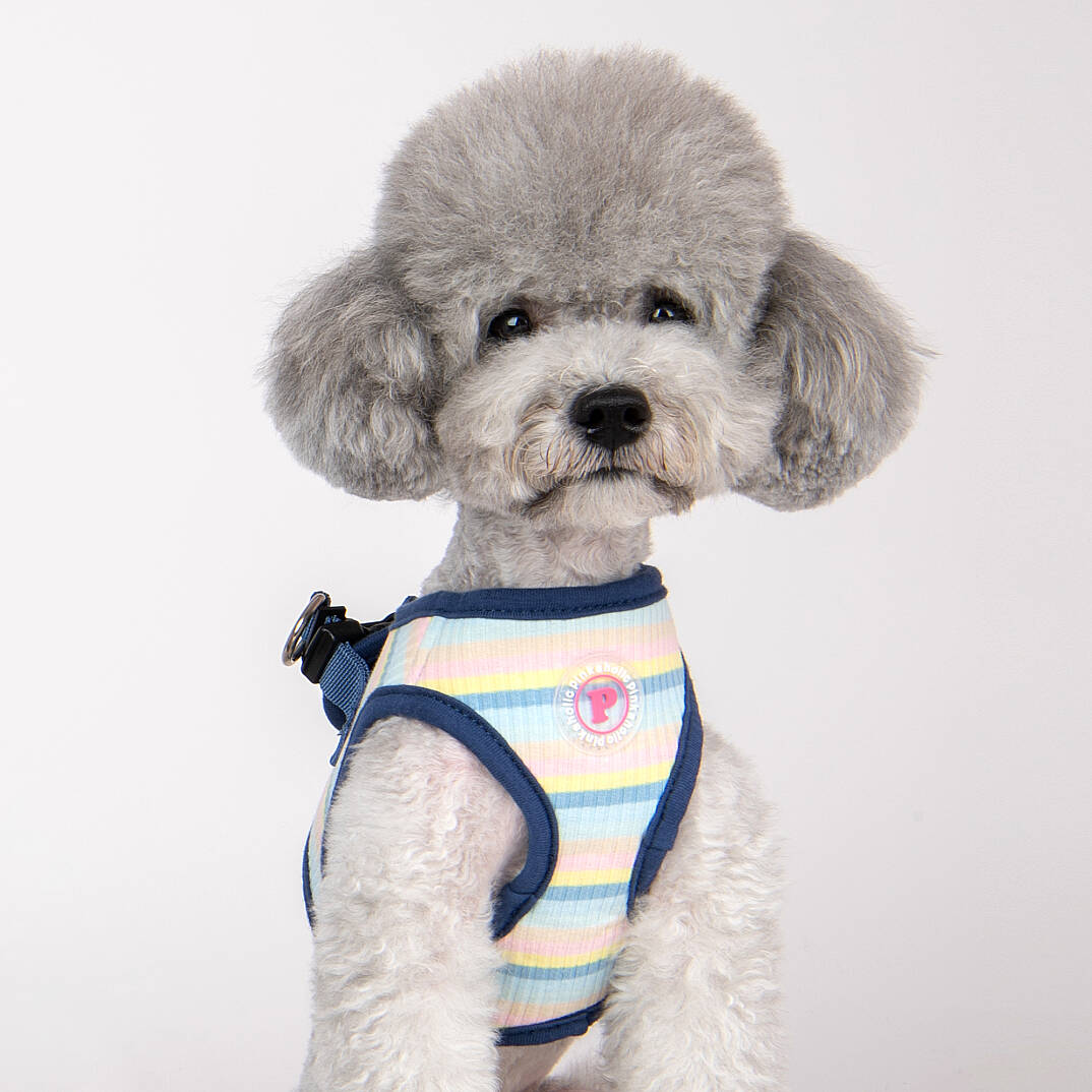 MAIRE HARNESS B / BLUE - 8