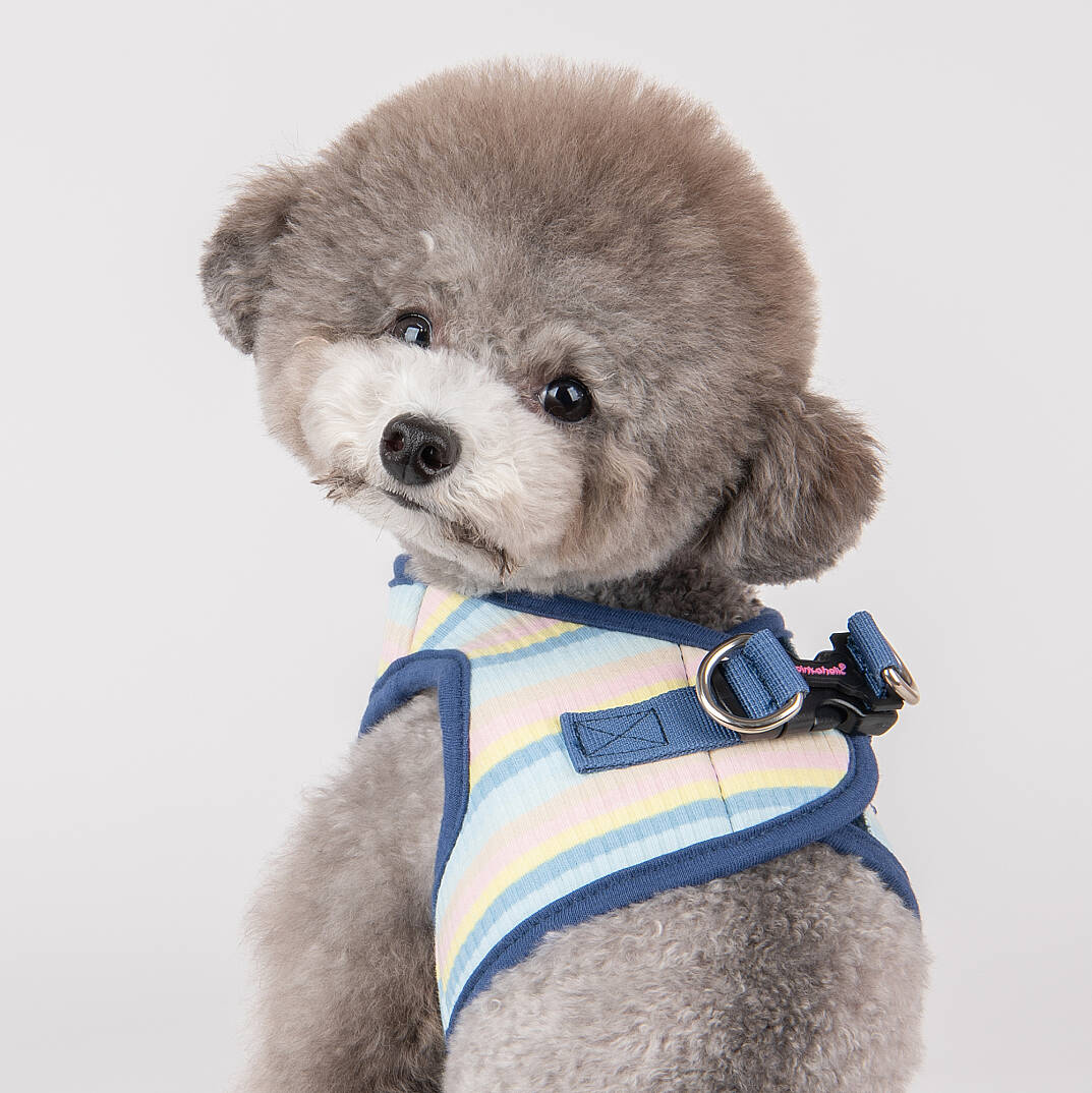 MAIRE HARNESS B / BLUE - 9