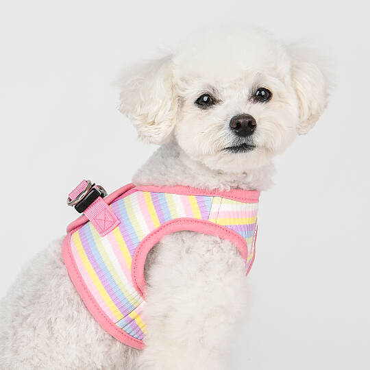 MAIRE HARNESS B / PINK - 8