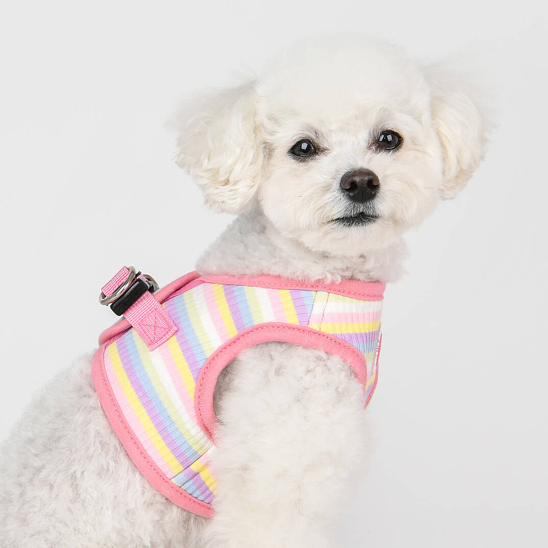 MAIRE HARNESS B / PINK - 8
