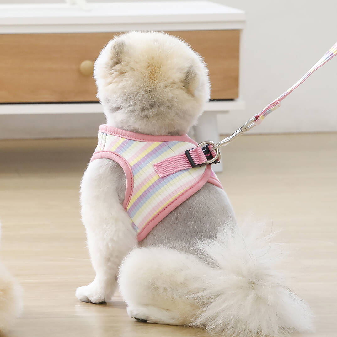 MAIRE HARNESS B / PINK - 9
