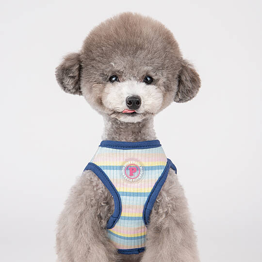 MAIRE HARNESS / BLUE - 7
