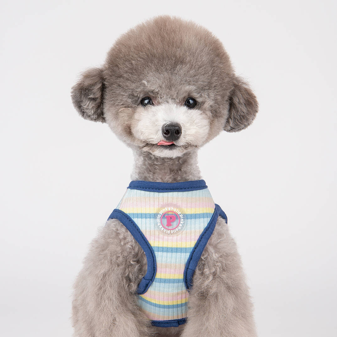 MAIRE HARNESS / BLUE - 7