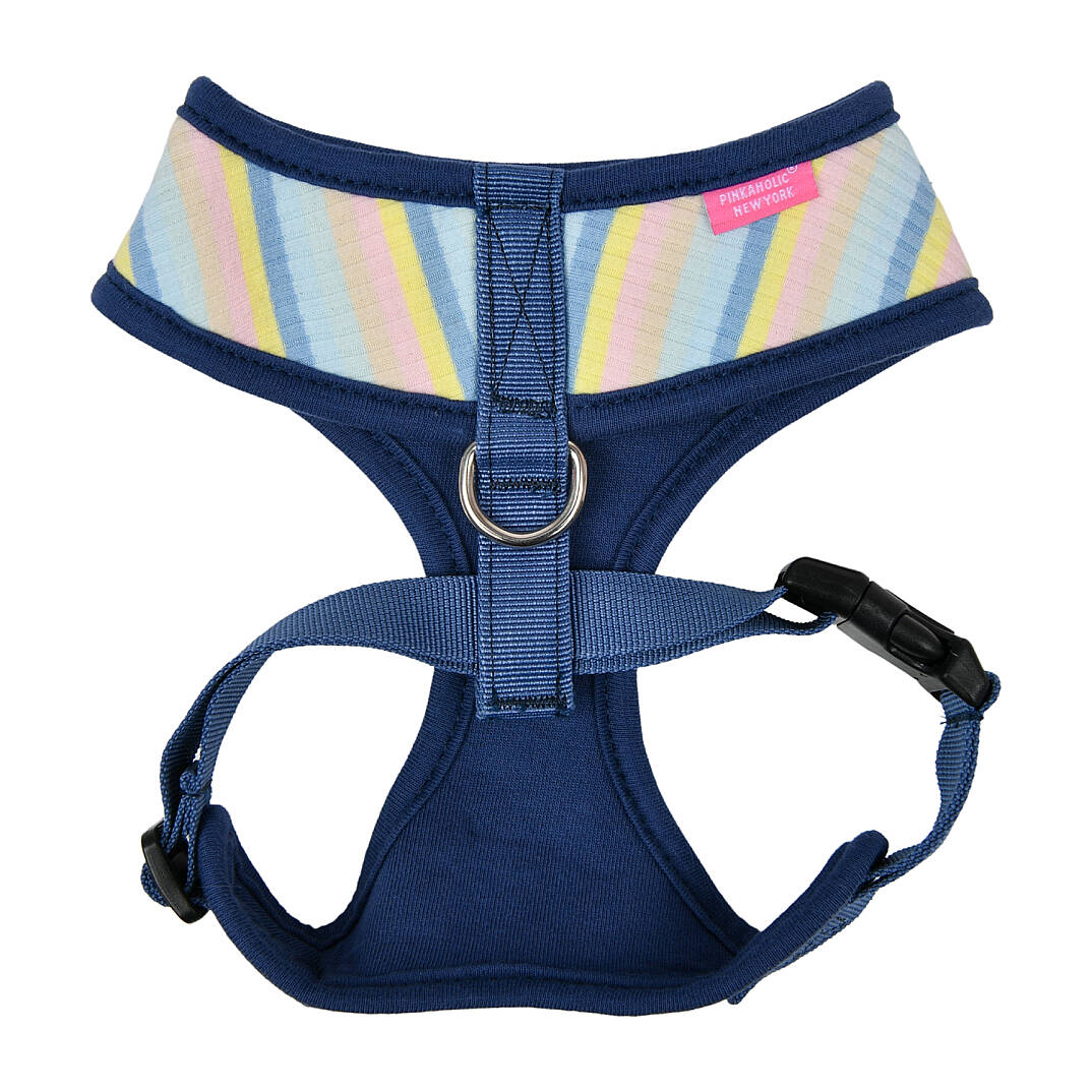 MAIRE HARNESS / BLUE - 2