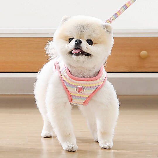 MAIRE HARNESS / PINK - 7