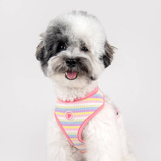 MAIRE HARNESS / PINK - 8