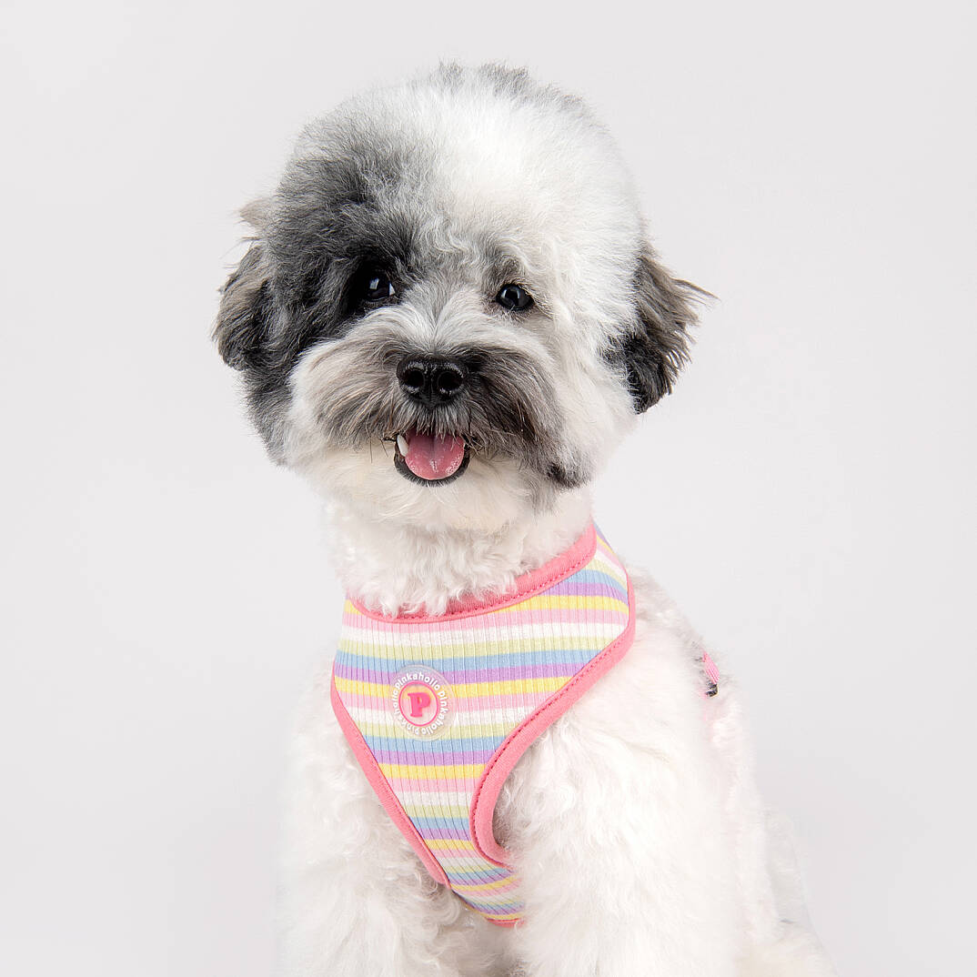 MAIRE HARNESS / PINK - 8