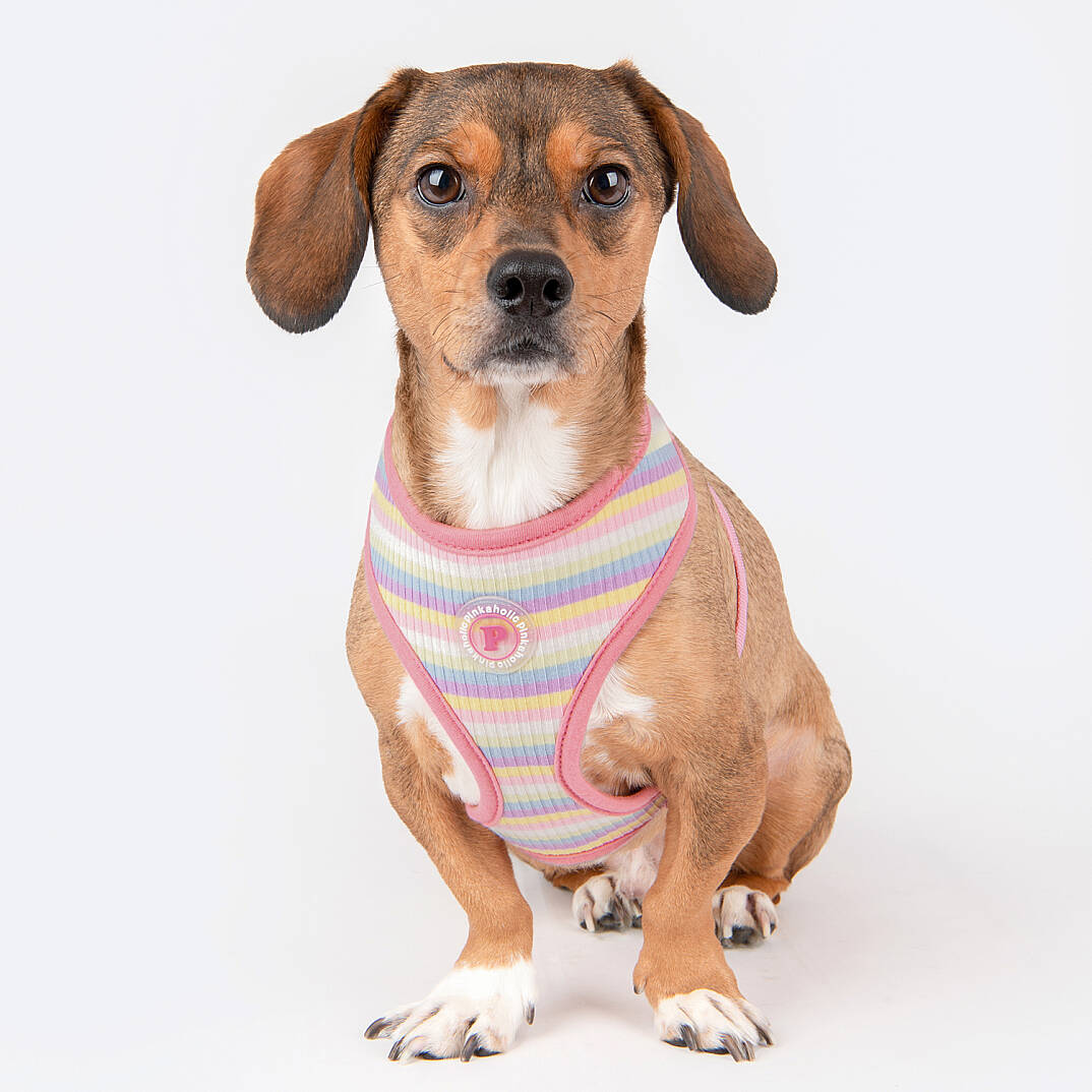 MAIRE HARNESS / PINK - 9